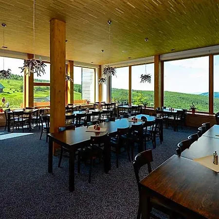 Hotel Andula Friesovy Boudy Strážné
