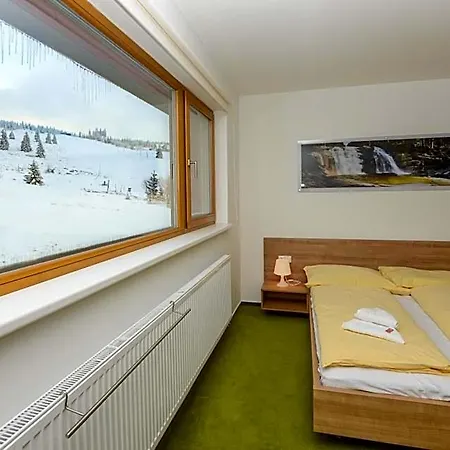 Andula Friesovy Boudy Hotel Strážné