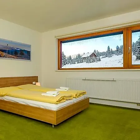 Andula Friesovy Boudy * Strážné
